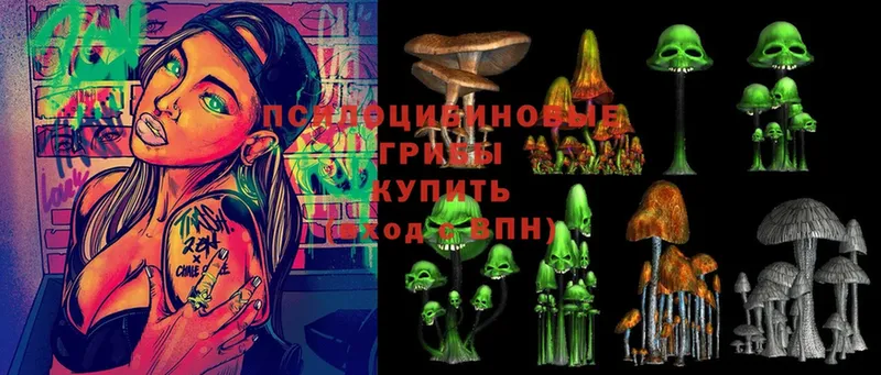 Псилоцибиновые грибы Psilocybine cubensis  купить  цена  Калач-на-Дону 